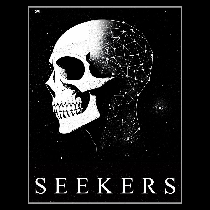 Cosmic Mirror Seekers