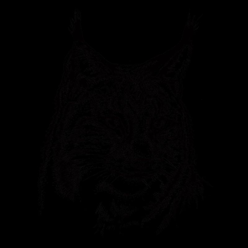 Luchs