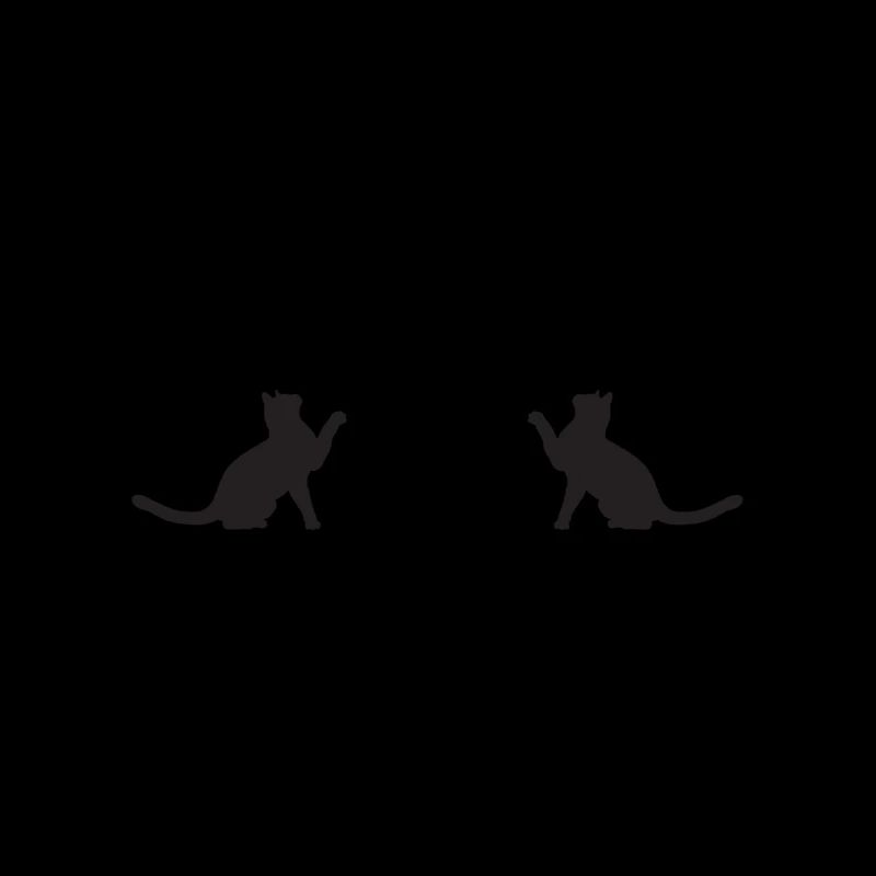 Mère des chats / Chats Lady