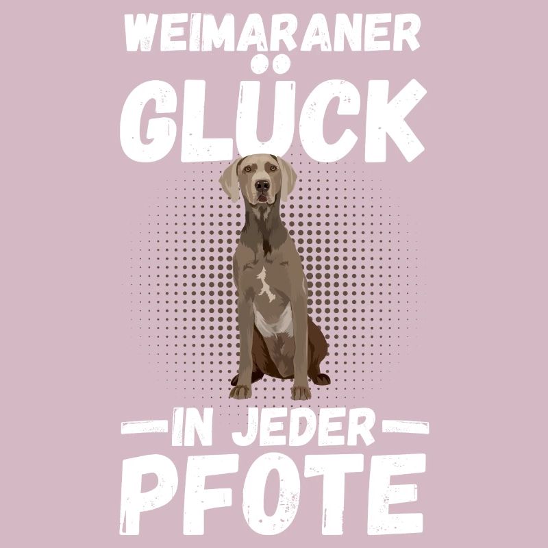 Braque de Weimar chien