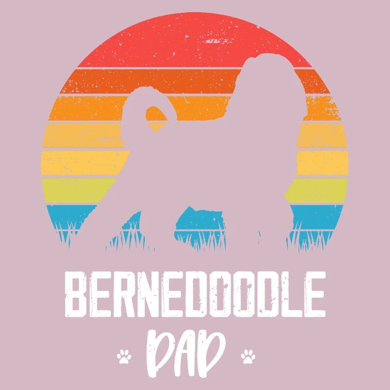 Bernedoodle Hund