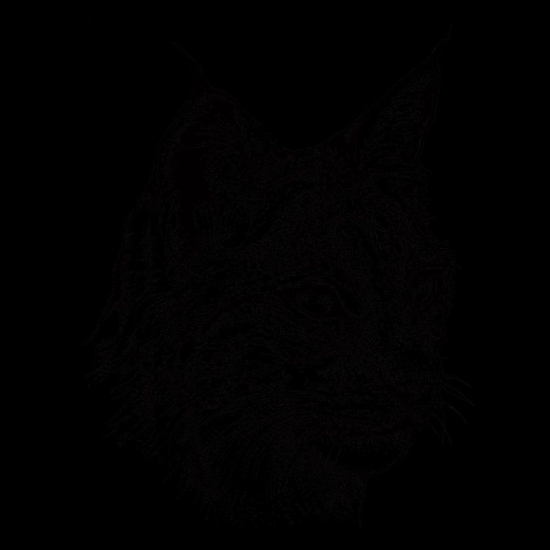 Luchs