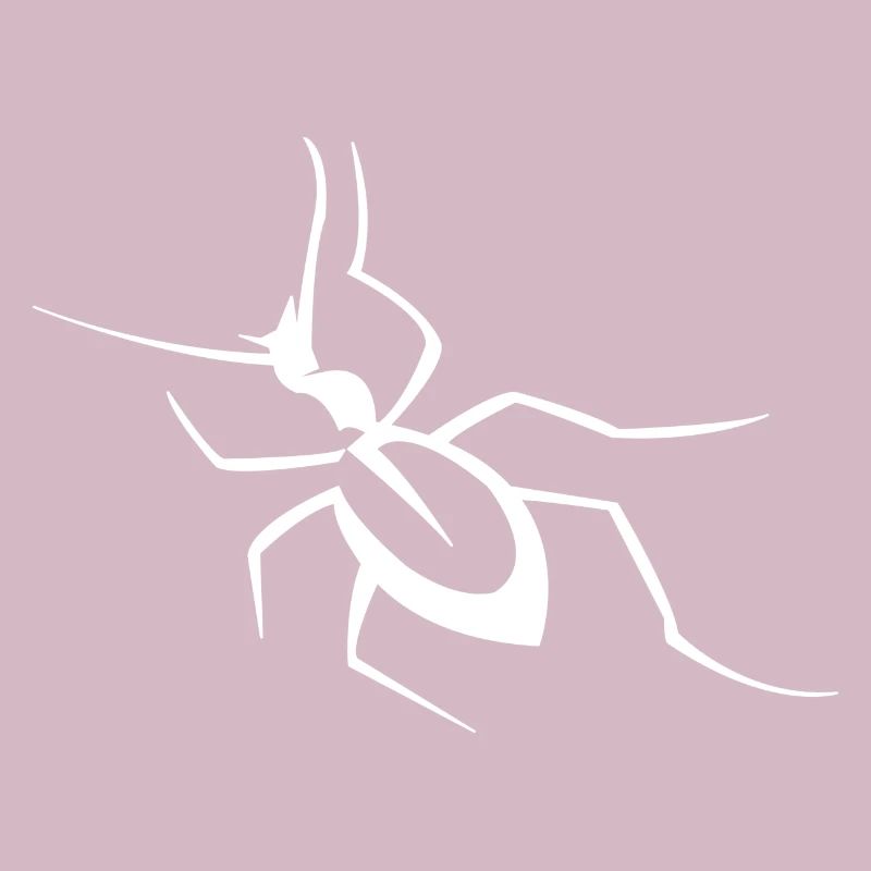 Insecte