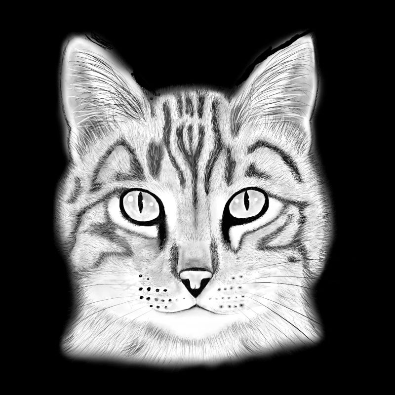 Tête de chat dessinée