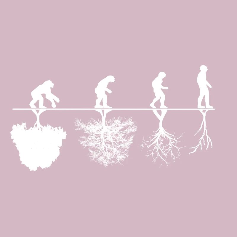 Evolution Kritik