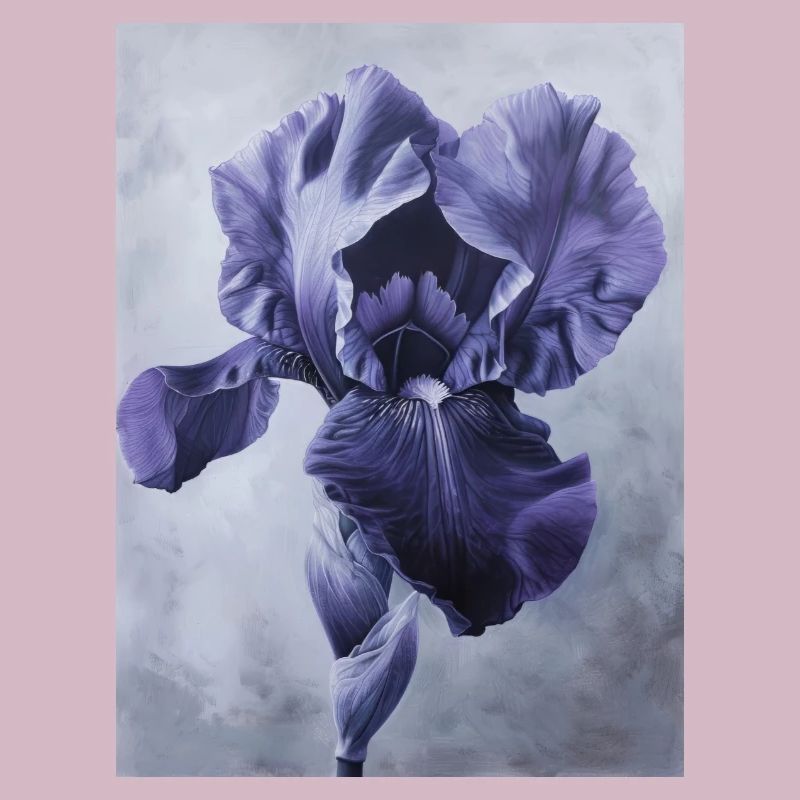 Iris FL 95