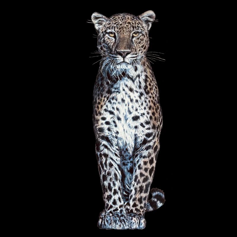 Panther