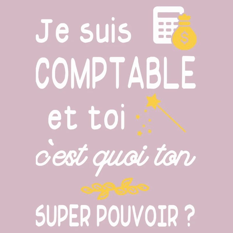 je suis comptable / humour comptable