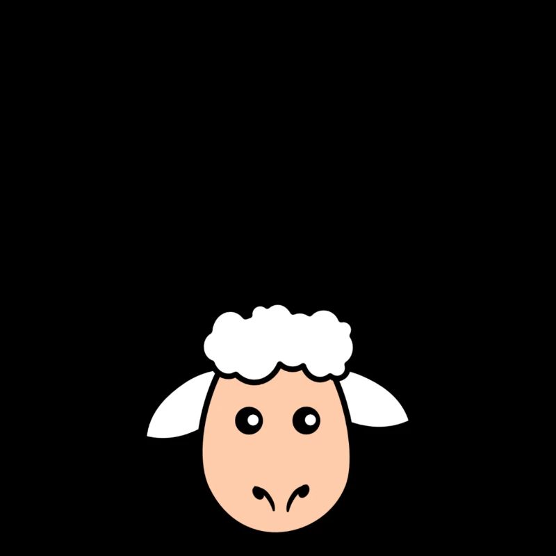 Leader sheep