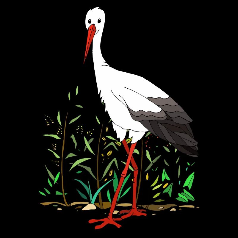 Storch