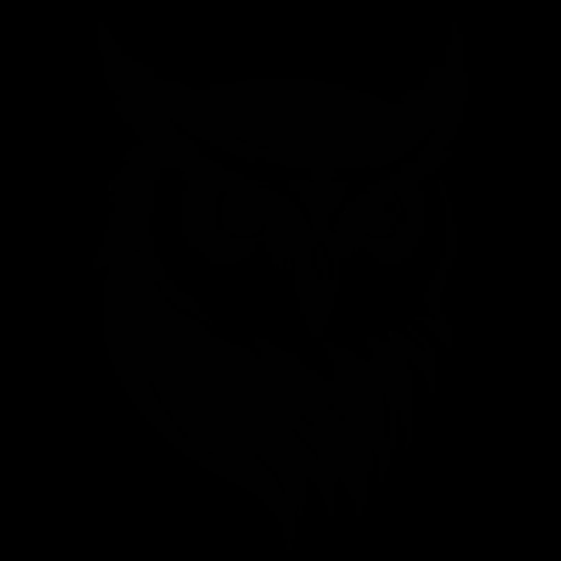 Eule Eulen Vogel Vögel