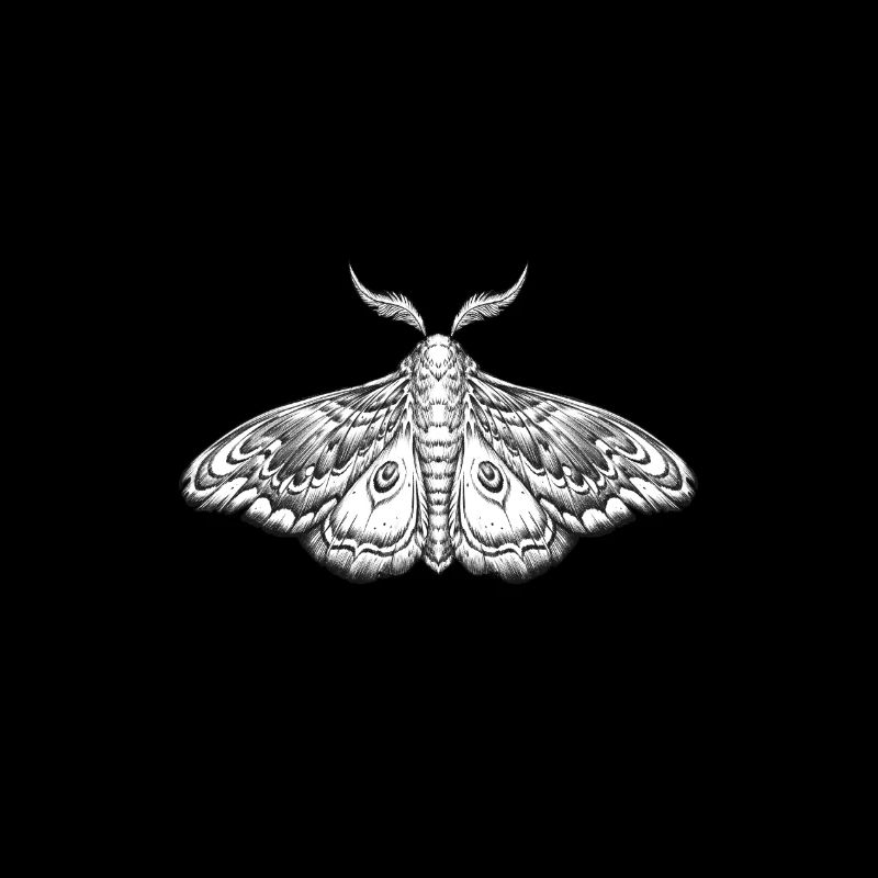moth