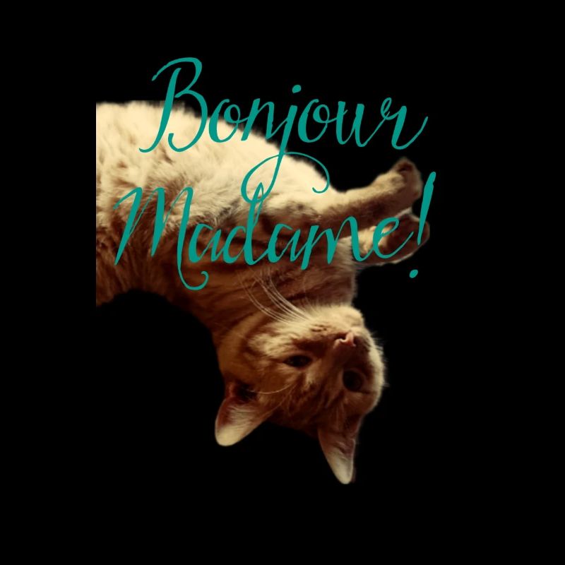 French speaking cat