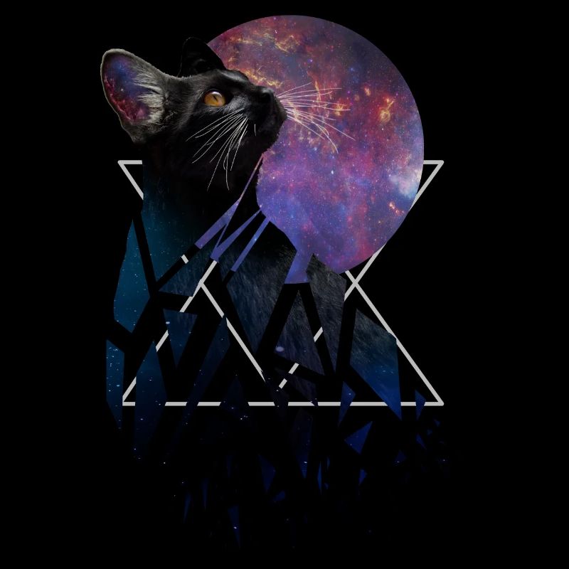 Chat de l’espace - série d’animaux de l’espace