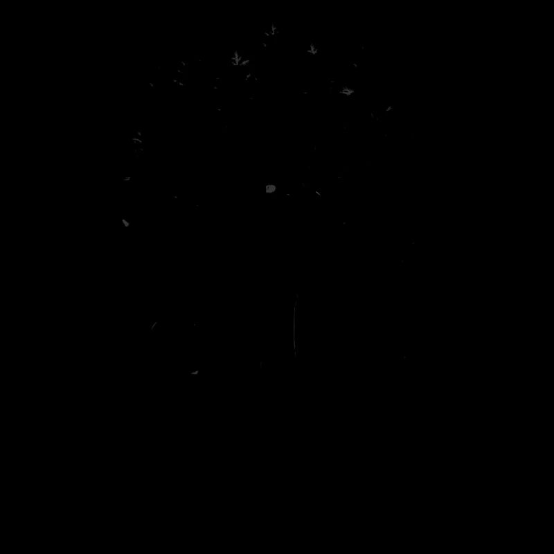 Forêt-Noire