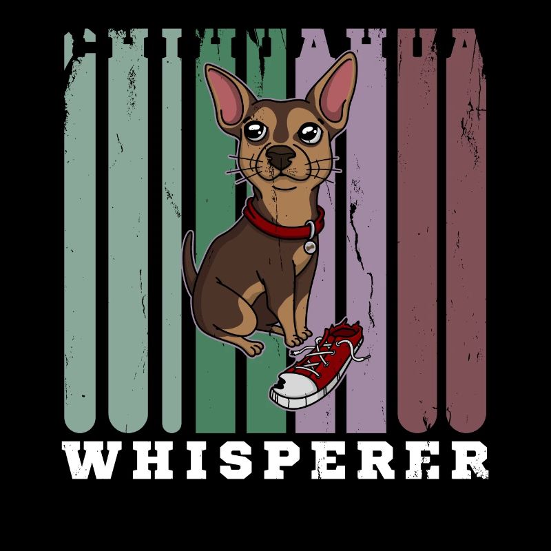 Flüsterer Chihuahua Hund