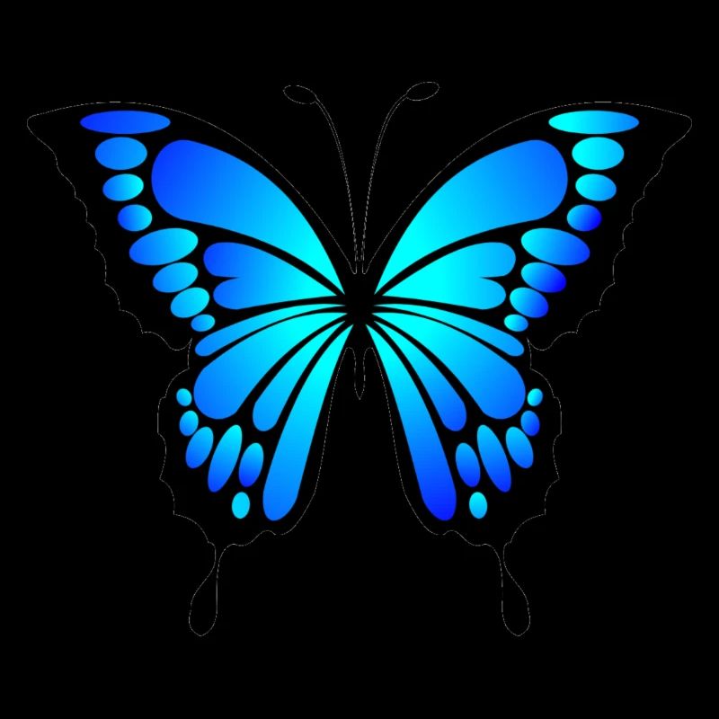 Blue Butterfly