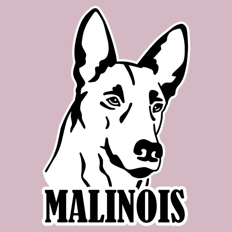 Malinois