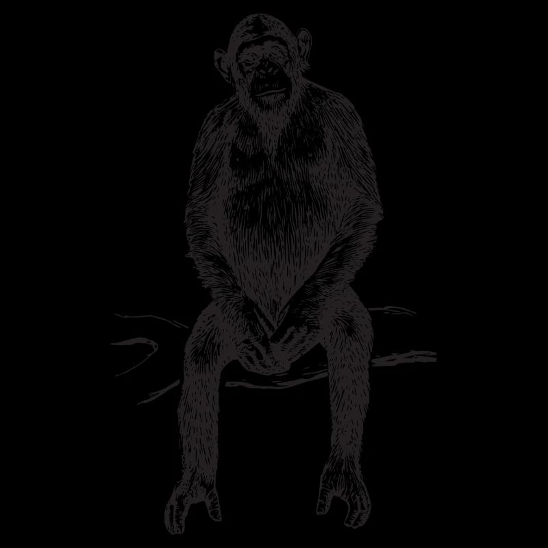 Monkey chimpanzee gift funny cute joke monkey