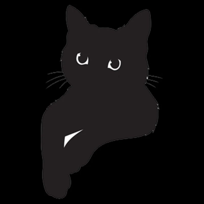 Schwarze Katze Pose