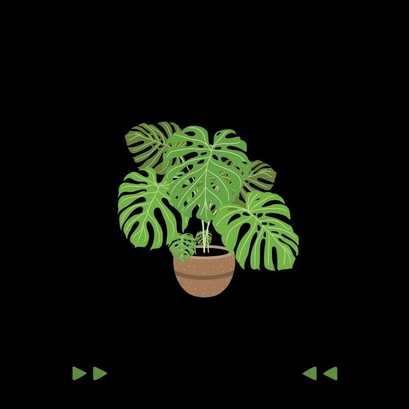 Monstera