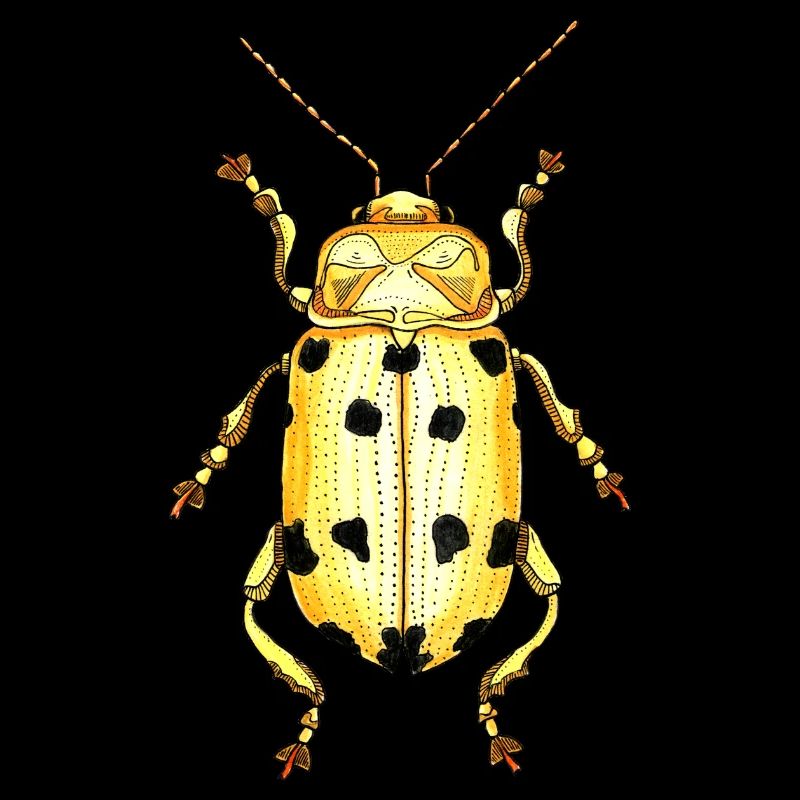 Big Beetle Stag - cerf géant