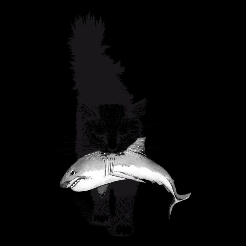 Shark Cat