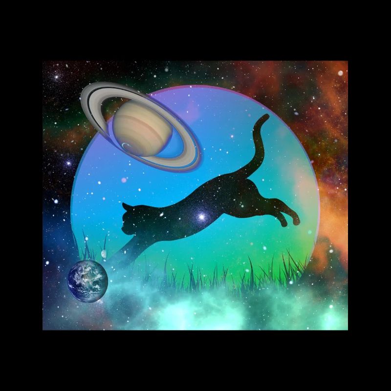 Chat de l’espace galactique