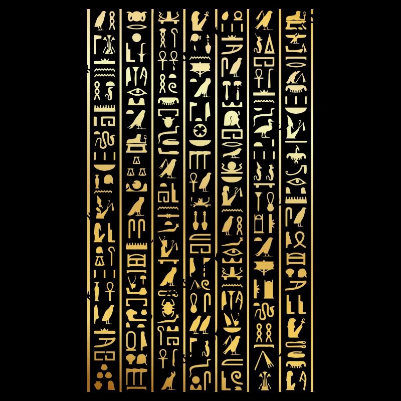 hieroglyphics Design for an old egypt enthusiast