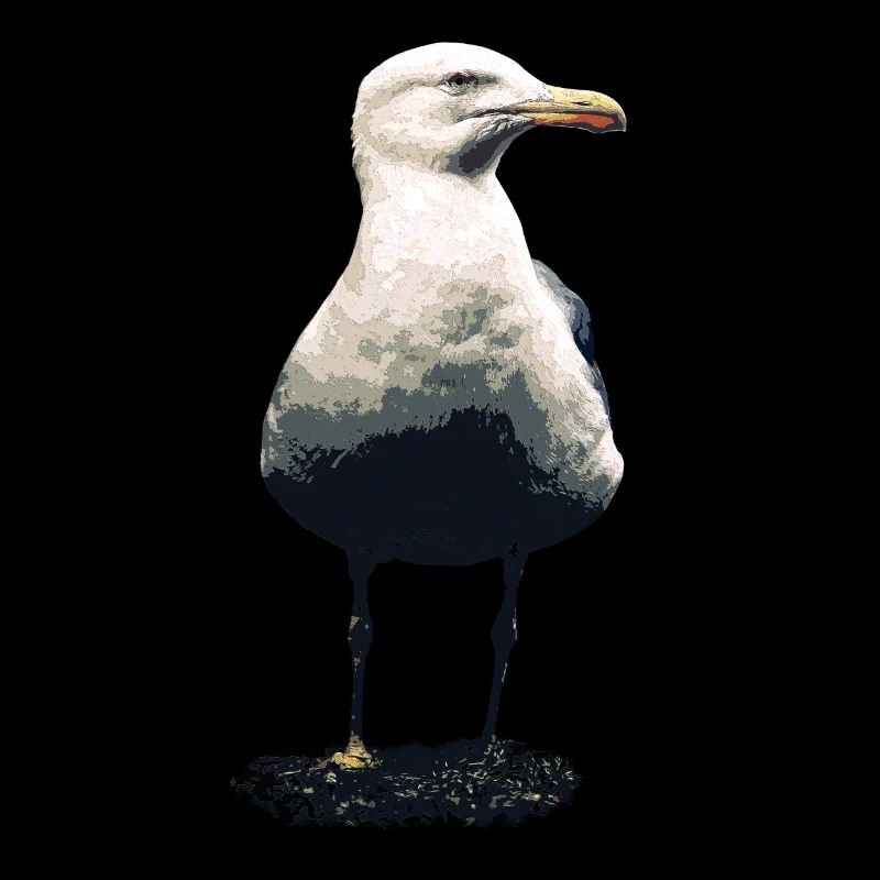 Möwe