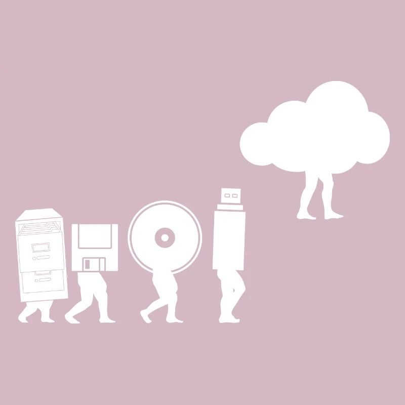 Evolution of Data Storage Coding Computer Cloud
