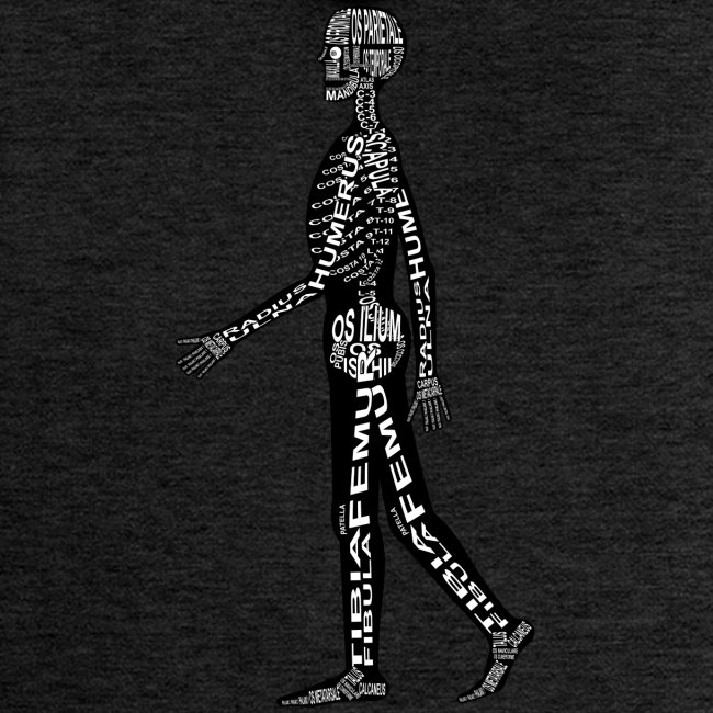 Mänskligt skelett