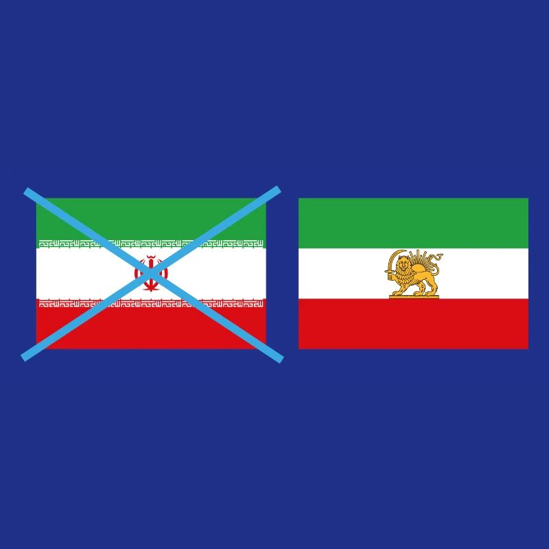 Smashed Iran flags