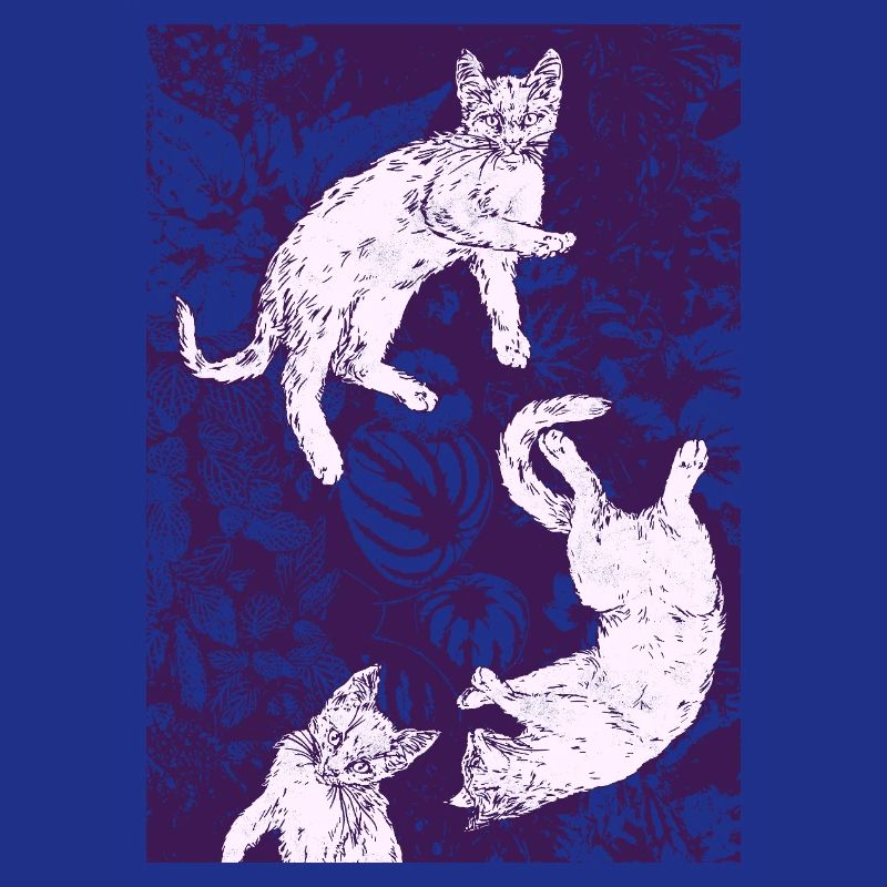 THREE WHITE KITTENS