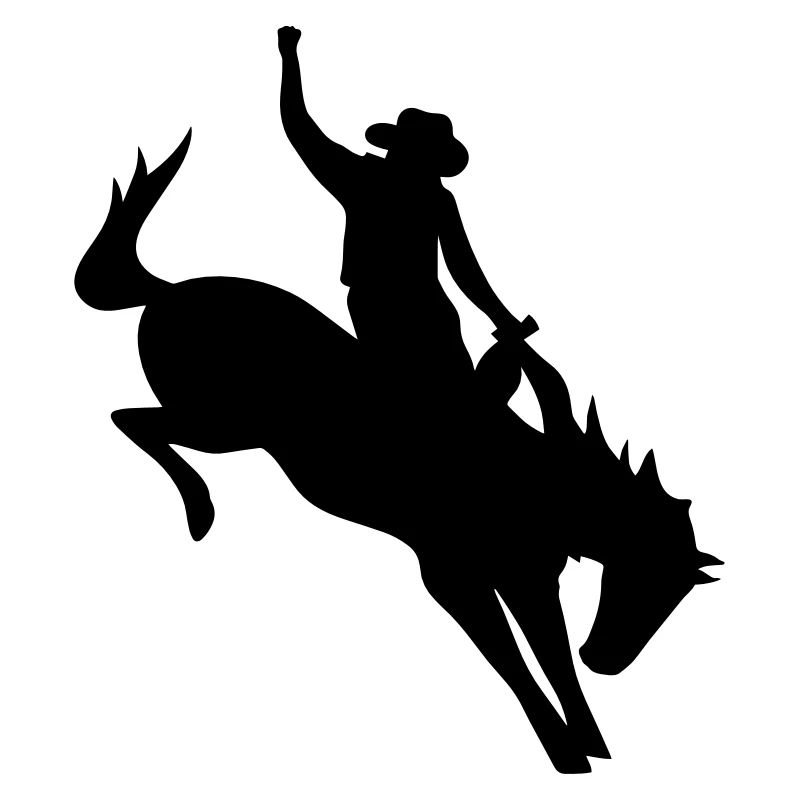 Rodeo Riding on a wild horse