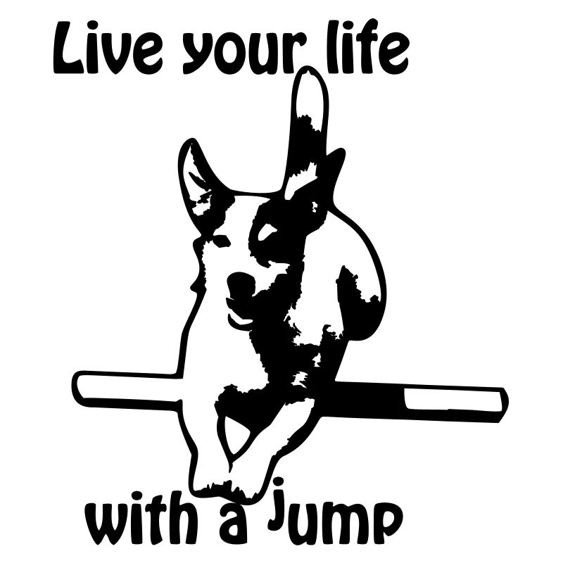 Agility Jack Russel Terrier