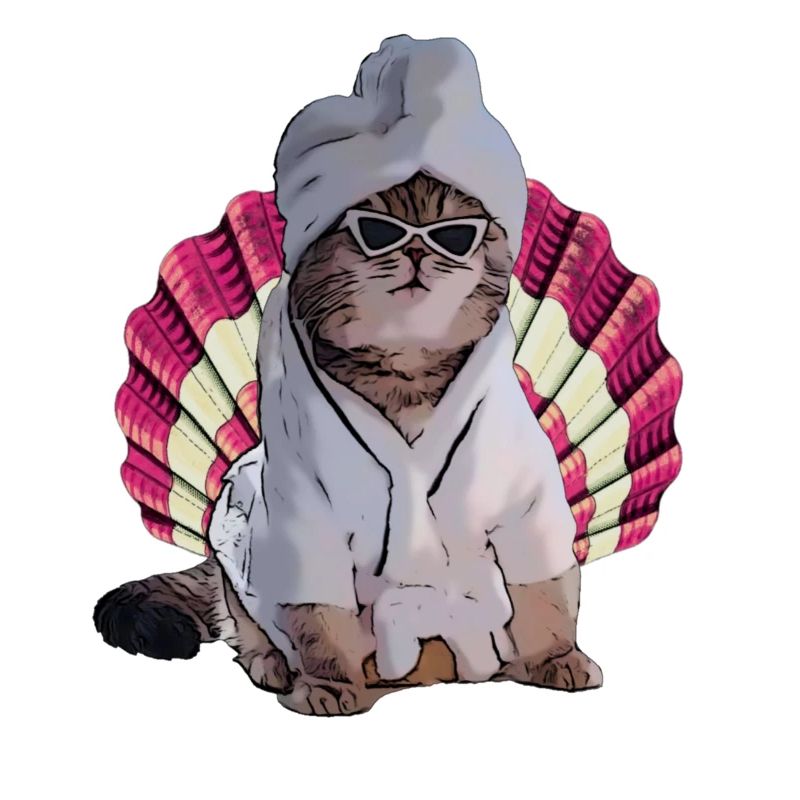 chat cool dans le spa