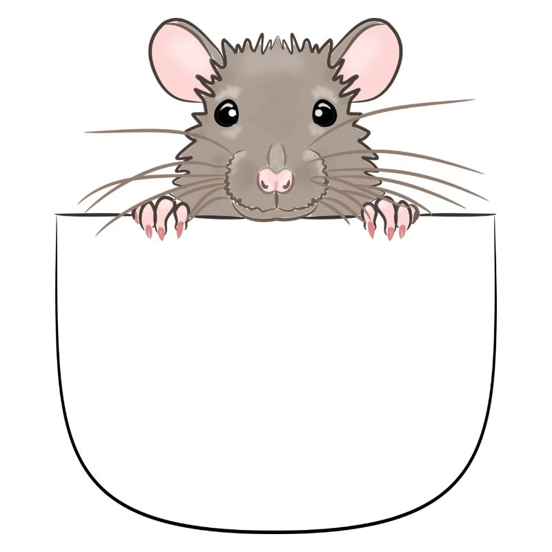 Mouse from pocket looks curious