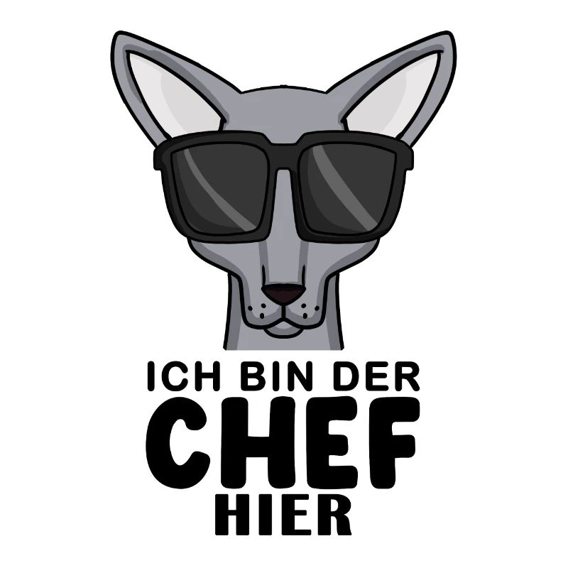 coole Katze - Sphynx Katze Spruch