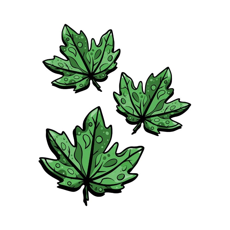 Autumnal Maple Leaf
