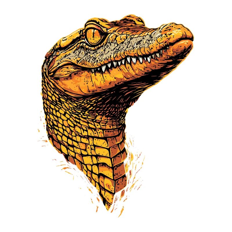Caiman Crocodile Alligator Reptiles Crocodile Caimans
