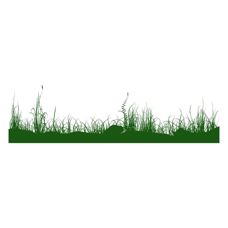 Herbe, sol, prairie, prairie herbeuse