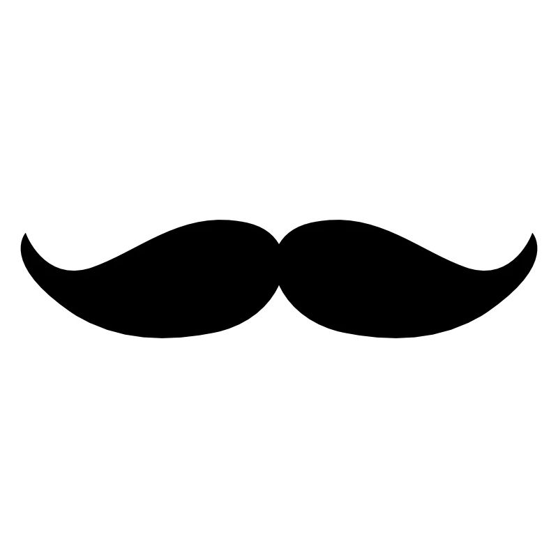 Walrus moustache