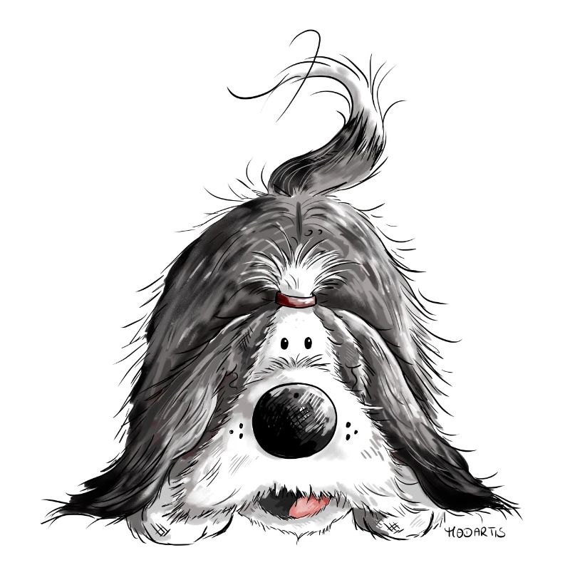 Funny Bearded Collie