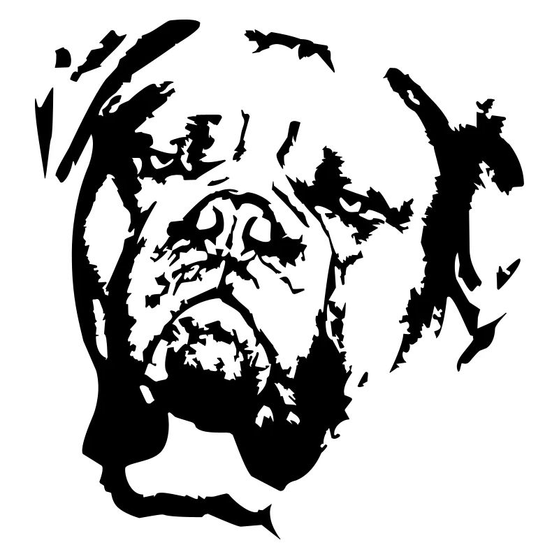 Bordeauxdogge Kopf