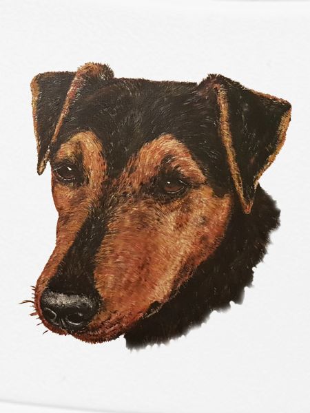 Jagdterrier Portrait