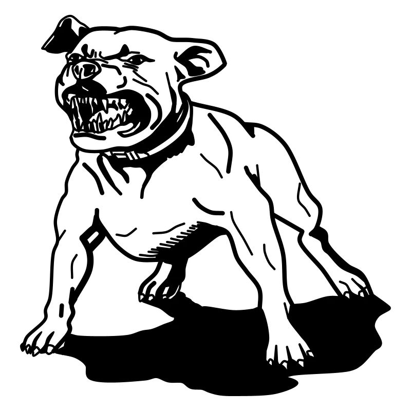 pitbull, staffordshire terrier