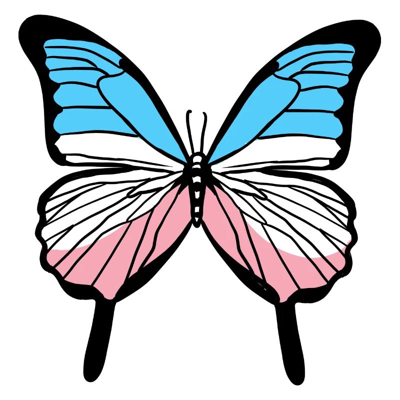 Fierté trans Papillon Fierté transgenre