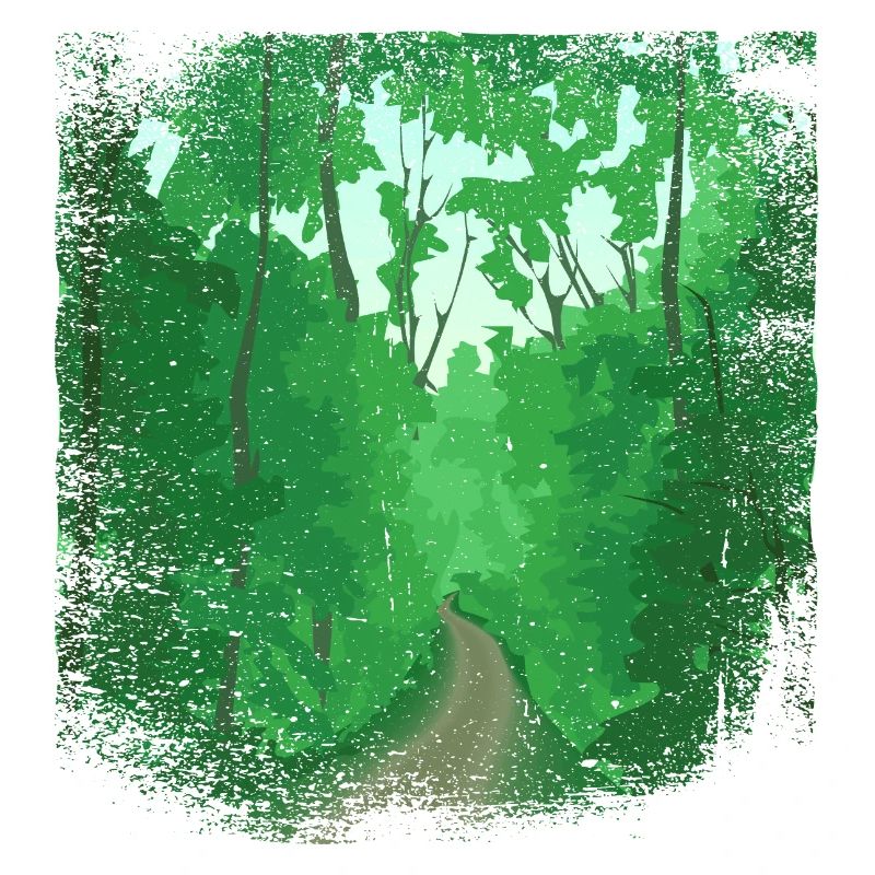 Forest path with frayed edge