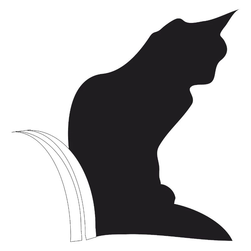Nemo, schwarze Katz im Keller